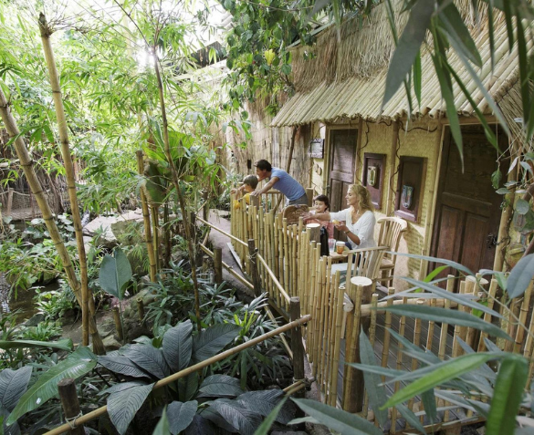 Jungleverblijf op Center Parcs Het Heijderbos incl. ontbijt