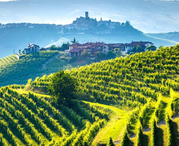 4*-Wijntour door Noord-Italië incl. proeverijen en vele extra's