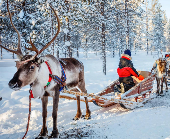 Winterreis naar Fins Lapland incl. vlucht, excursies en meer!