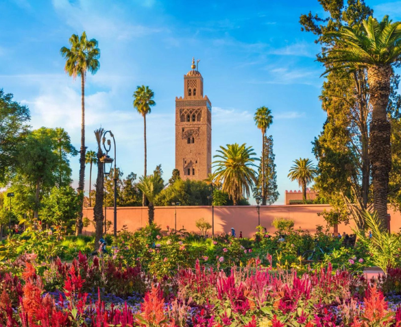 Rondreis Marokko: van Marrakech naar de Sahara